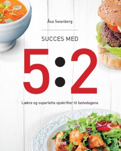 Succes_med_5_2_cover